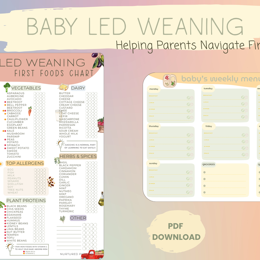Baby Led Weaning Bundle