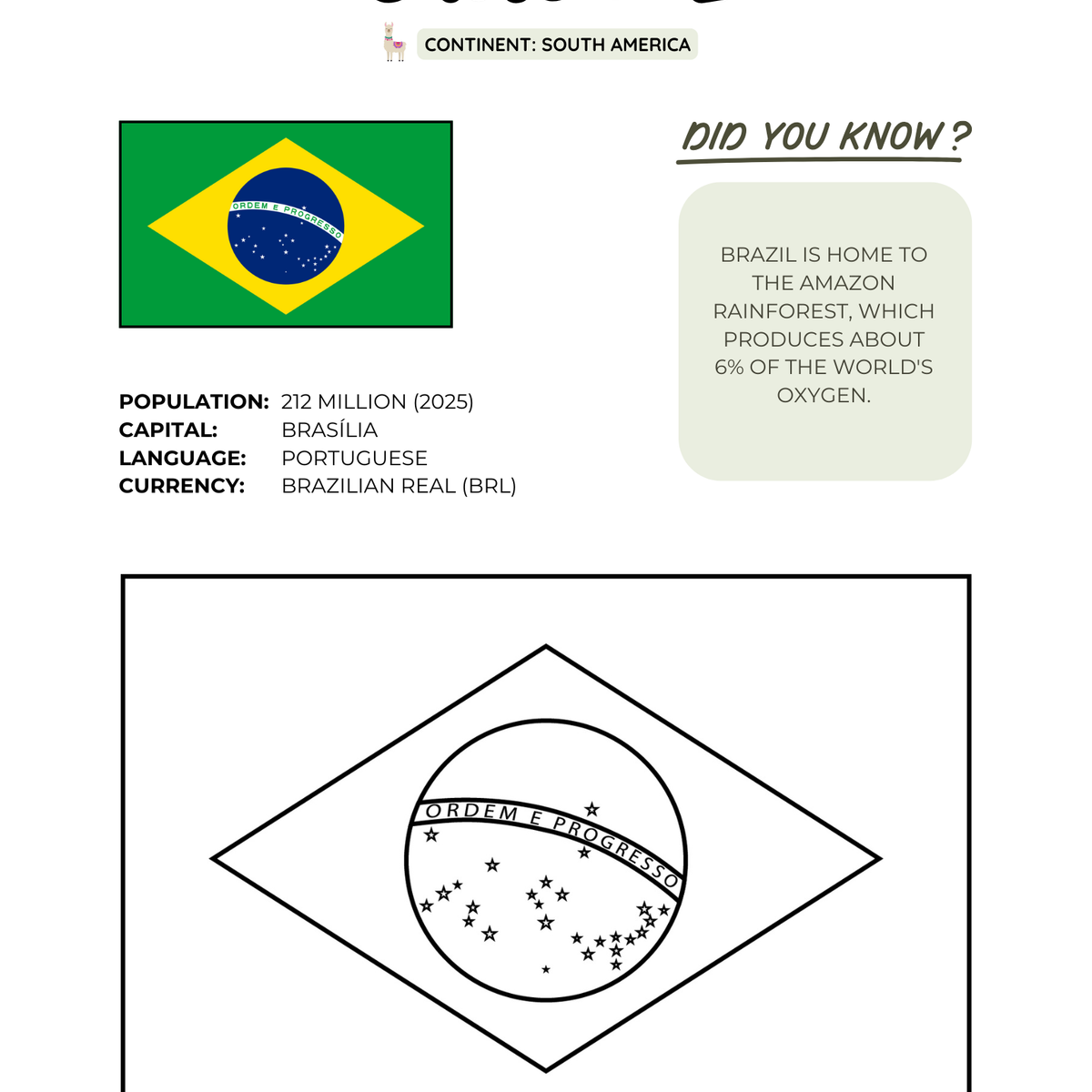 BUNDLE: The Ultimate World Flags Coloring Book for Kids (Digital Download)